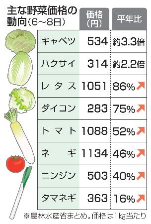 　主な野菜価格の動向