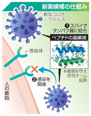 　新薬候補の仕組み