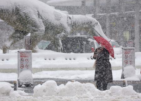 　雪をかぶった福井駅前の恐竜モニュメントの前で傘を差す人＝５日午後、福井市