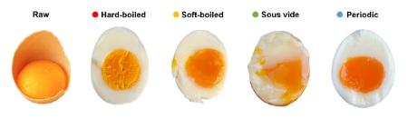 　（左から）生卵、固ゆで卵、半熟卵、６０～７０度で長時間温めた卵、周期調理した卵（Ｐｅｌｌｅｇｒｉｎｏ　Ｍｕｓｔｏ　ａｎｄ　Ｅｒｎｅｓｔｏ　Ｄｉ　Ｍａｉｏ提供）