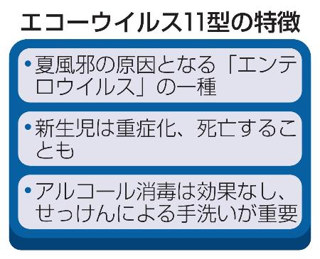 　エコーウイルス１１型の特徴