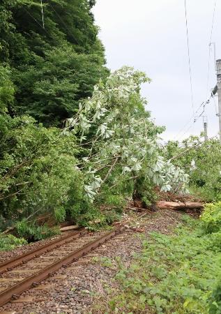 　崩れた土砂などでふさがれたＪＲ奥羽線の線路＝２０２４年７月、山形県鮭川村の羽前豊里駅付近