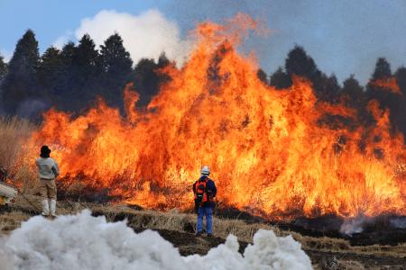 　熊本県・阿蘇山の観光名所「草千里」一帯で行われた野焼き＝２２日午前