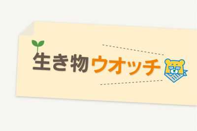 熊本のニュース 生活情報は熊日電子版 熊本日日新聞社