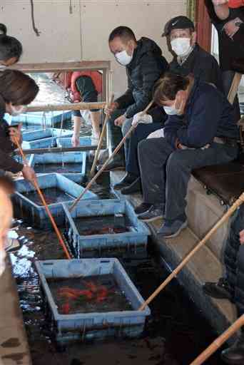金魚とコイの初競りで品定めする人たち＝長洲町