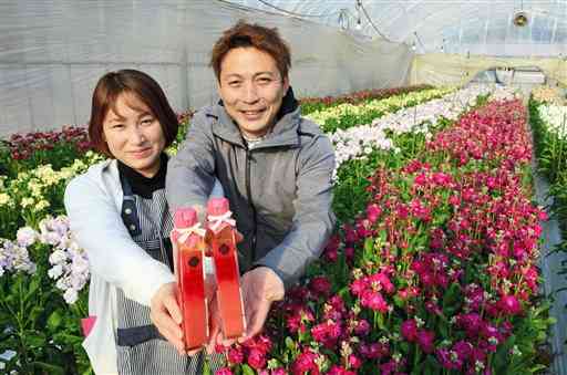 色鮮やかなストックが咲き誇るハウスで、「花彩ドレッシング」を手にする白石豊和さん（右）と妻の恵美さん＝高森町