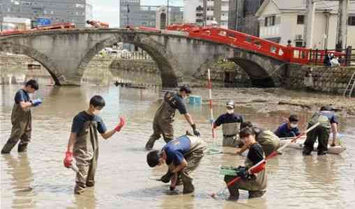 青井阿蘇神社のハス池で、がれき除去やハスの植え戻し作業をする参加者。後方は欄干が崩れたままの禊橋＝人吉市