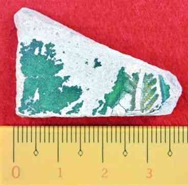 出土したトラディスカント壺の破片。鮮やかな緑の着色が分かる