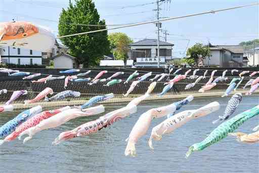 風を受けて坪井川の上を泳ぐこいのぼり＝熊本市西区