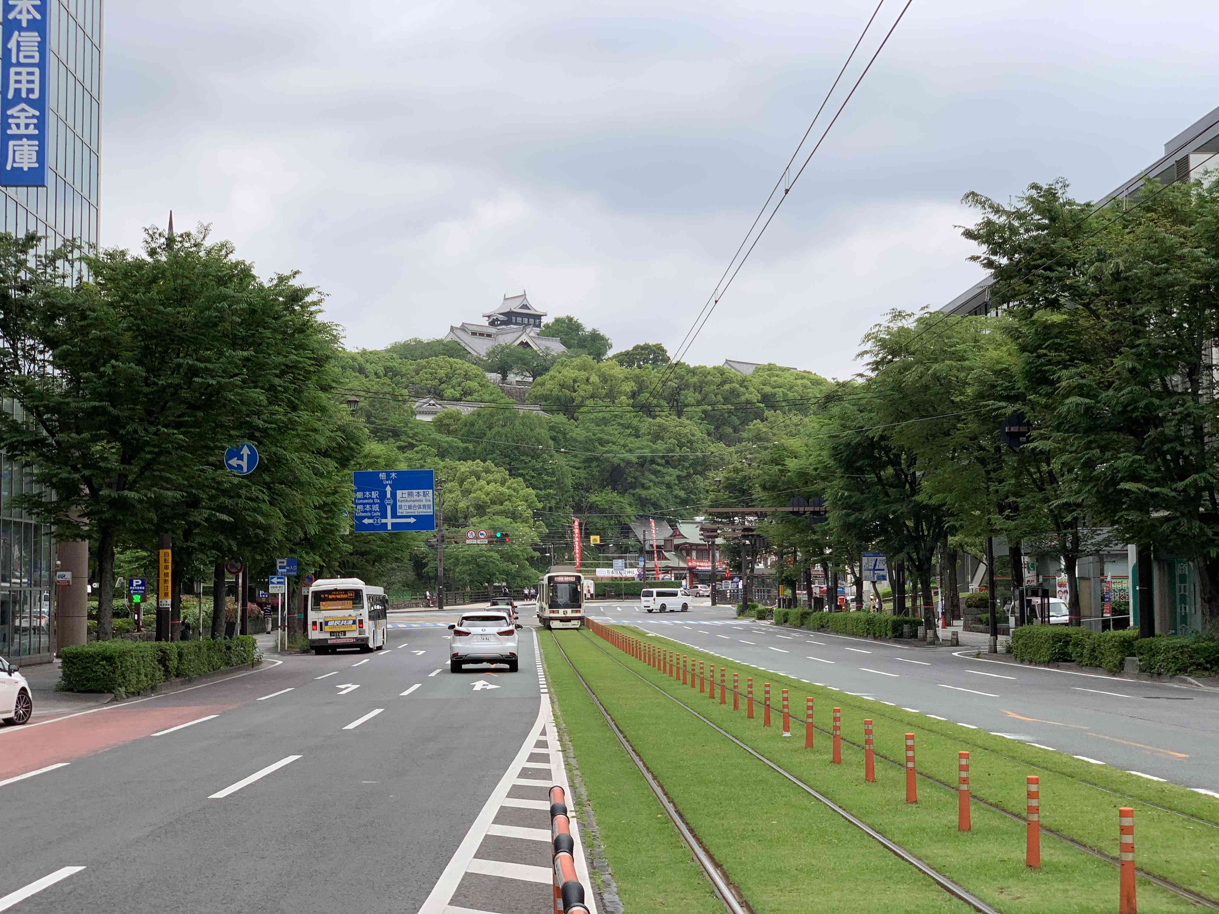 「森の都」を象徴する電車通りからの熊本城の風景。市役所前から大甲橋の区間では６割近くの街路樹が伐採される計画だ＝熊本市中央区