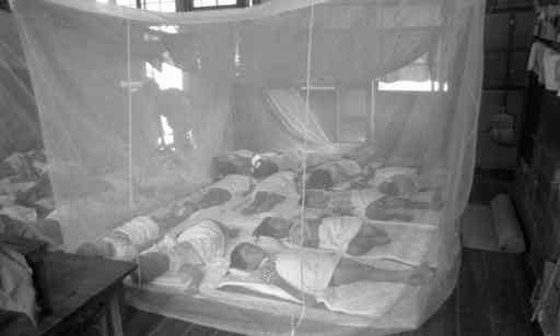 蚊帳の中で昼寝をする子どもたち（本文とは関係ありません）