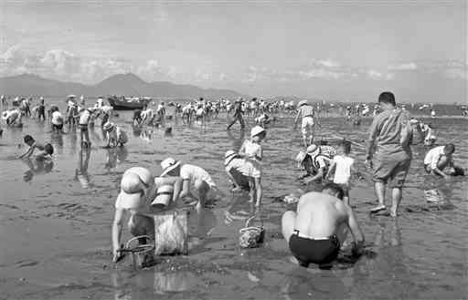 潮干狩りの家族連れでにぎわっていた長浜海岸＝１９６３年（本文とは関係ありません）