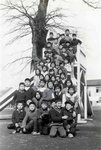 白川小の大エノキの前でクラスメートと。前列左端が筆者＝１９６２年