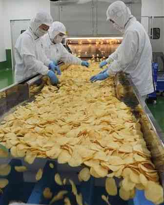 ５日稼働した湖池屋の九州阿蘇工場で、味付け前のポテトチップスを選別する従業員ら＝６日、益城町