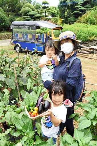 夏野菜の収穫体験ツアーを楽しむ家族連れ。後方は農園との移動に使うオート三輪「トゥクトゥク」＝山鹿市