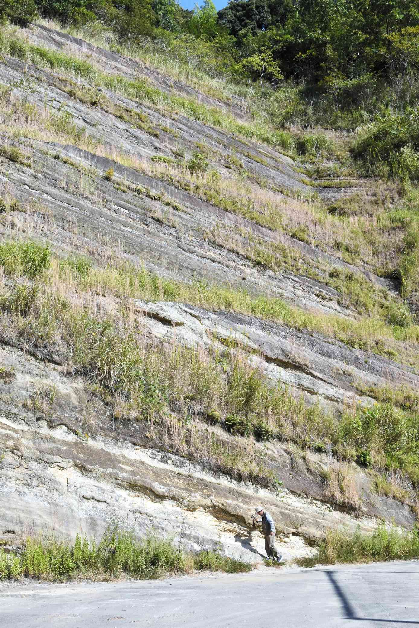 球磨村総合運動公園内の崖に露出している「人吉層」。人吉盆地がかつて湖だったことが分かるという＝球磨村