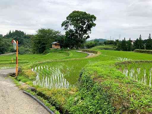 棚田の間を縫うようにして歩く白石野里山コース