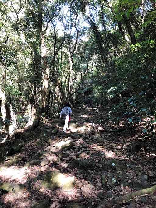 夏目漱石の小説「草枕」の舞台の一つとされる「鎌研坂」