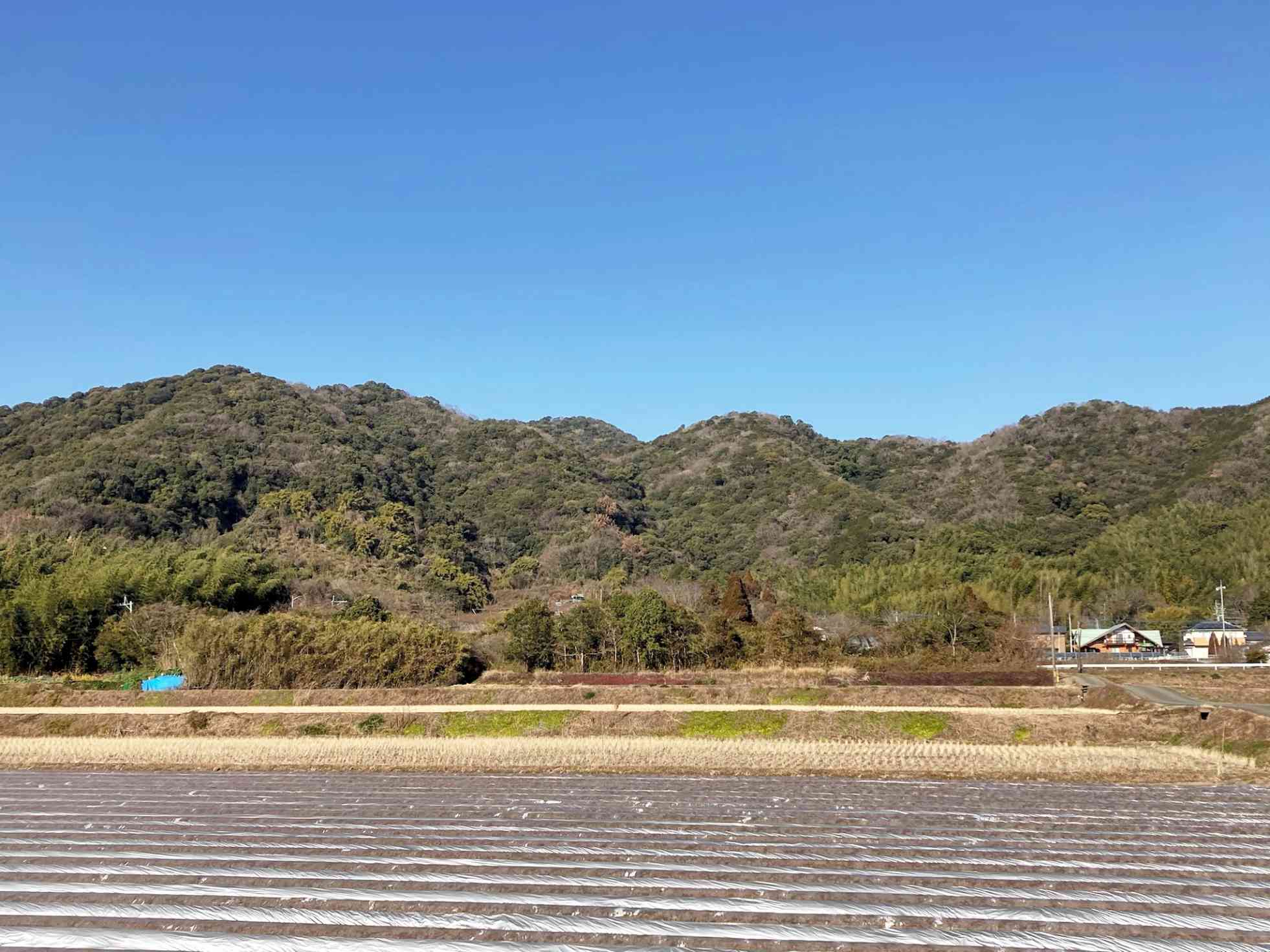 南側から眺める雁回山