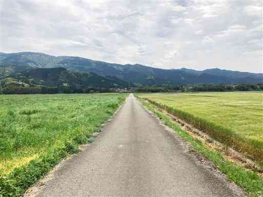 向こうの山に吸い込まれていきそうなほど真っすぐな道。どこか懐かしく感じる田園風景だ