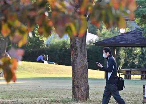 ハナミズキが紅葉し始めた白川公園＝１８日午前７時半ごろ、熊本市中央区（高見伸）