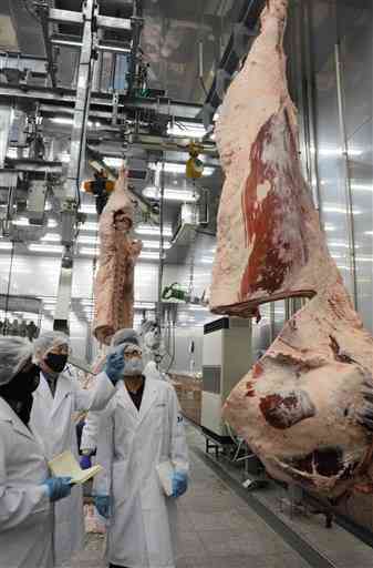 杉本本店の食肉カット工場を確認するハラル認証機関の監査員たち＝２０日、宇城市