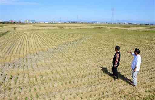 農地集積を機に基盤整備を計画している元三地区の農地。小規模な区画を集約し、若手農家を中心に担う計画だ＝１０月２９日、熊本市南区