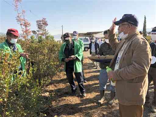 競り師（左）の掛け声に合わせて植木を競り落とす参加者＝菊陽町