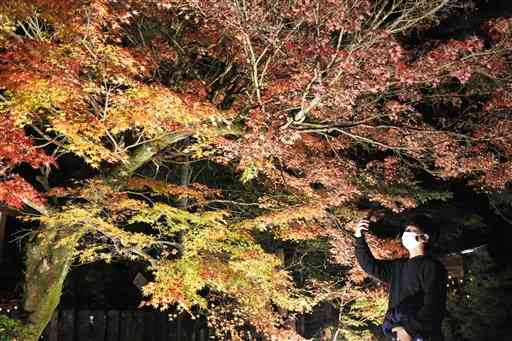 ライトアップされた市房山神宮里宮神社の境内＝湯前町