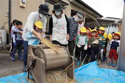 昔ながらの脱穀作業を体験する、なつめ保育園の園児たち＝相良村