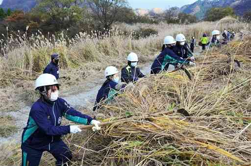 野焼きに備えた防火帯をつくる「輪地切り」を体験する高森高の生徒たち＝高森町