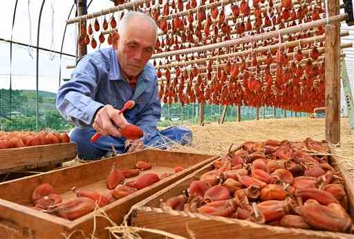 正月へ向け、干し柿の出荷準備に追われる北岡昭夫さん＝２１日、宇城市豊野町