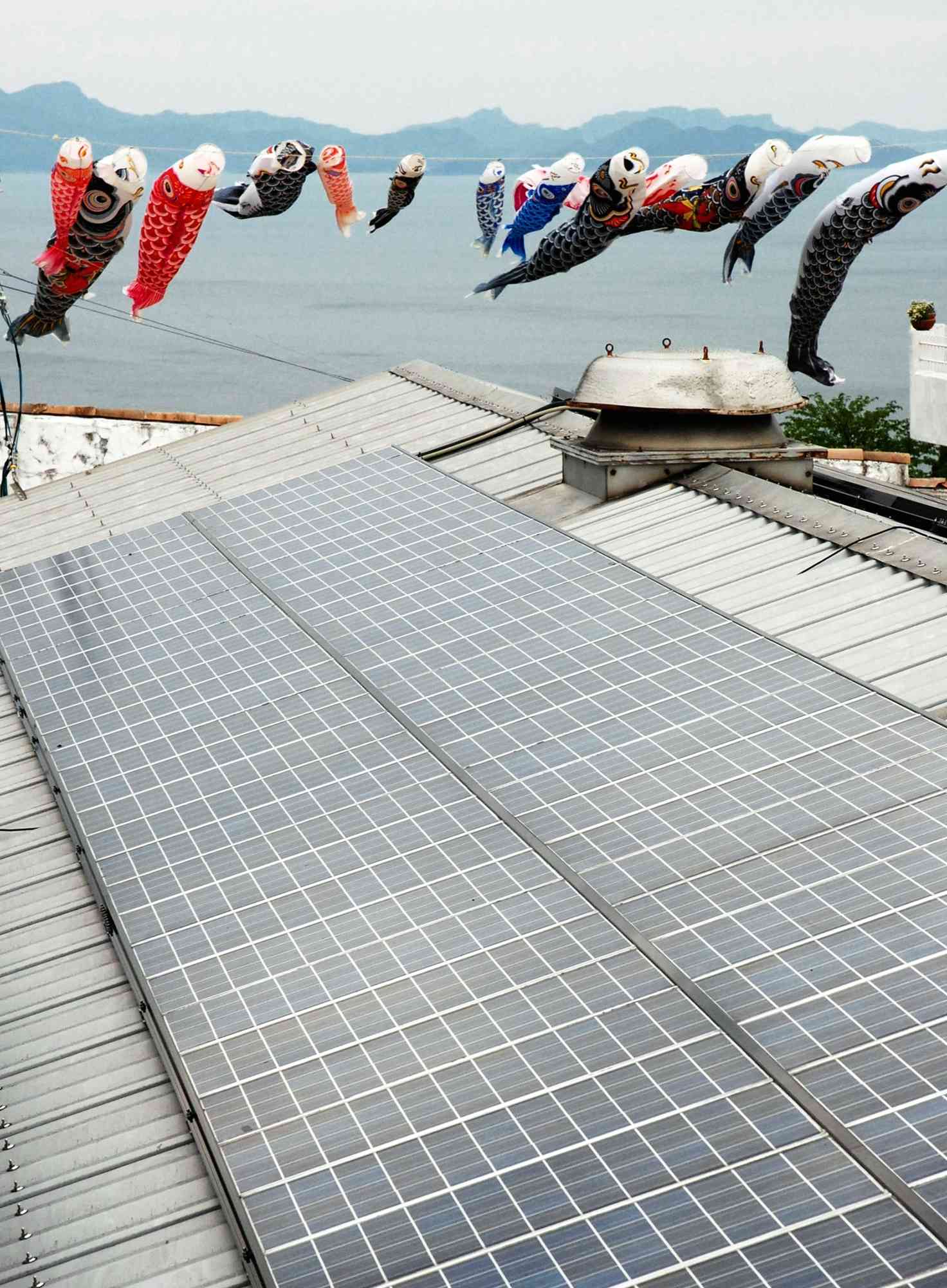 中古のソーラーパネルを使って設置された太陽光発電設備＝２０１０年４月、水俣市の福田農場