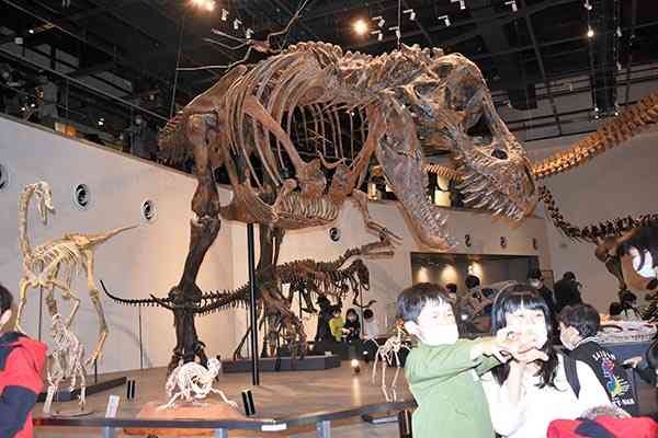 長崎市恐竜博物館の目玉は、世界最大級のティラノサウルスの全身骨格標本。バックにして記念写真を撮る見学者が多い
