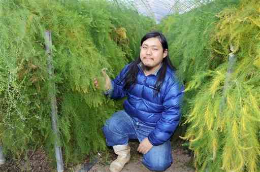 葉のように見えるアスパラガスの茎を手にする松田渓太さん＝熊本市北区植木町