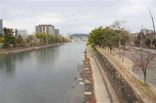 両岸の堤防を平均１．３メートル高くする白川の明午橋（奥）から大甲橋までの「緑の区間」＝熊本市中央区