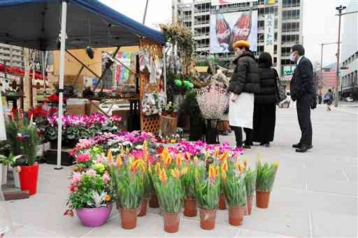 色とりどりの花が並んだフラワーマーケット＝熊本市中央区