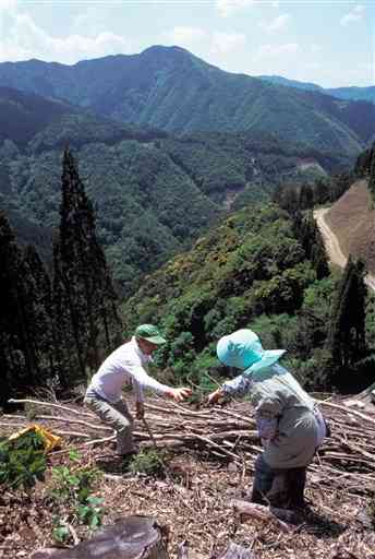 住友林業の仕事で出かけた宮崎・椎葉山林で作業する夫婦