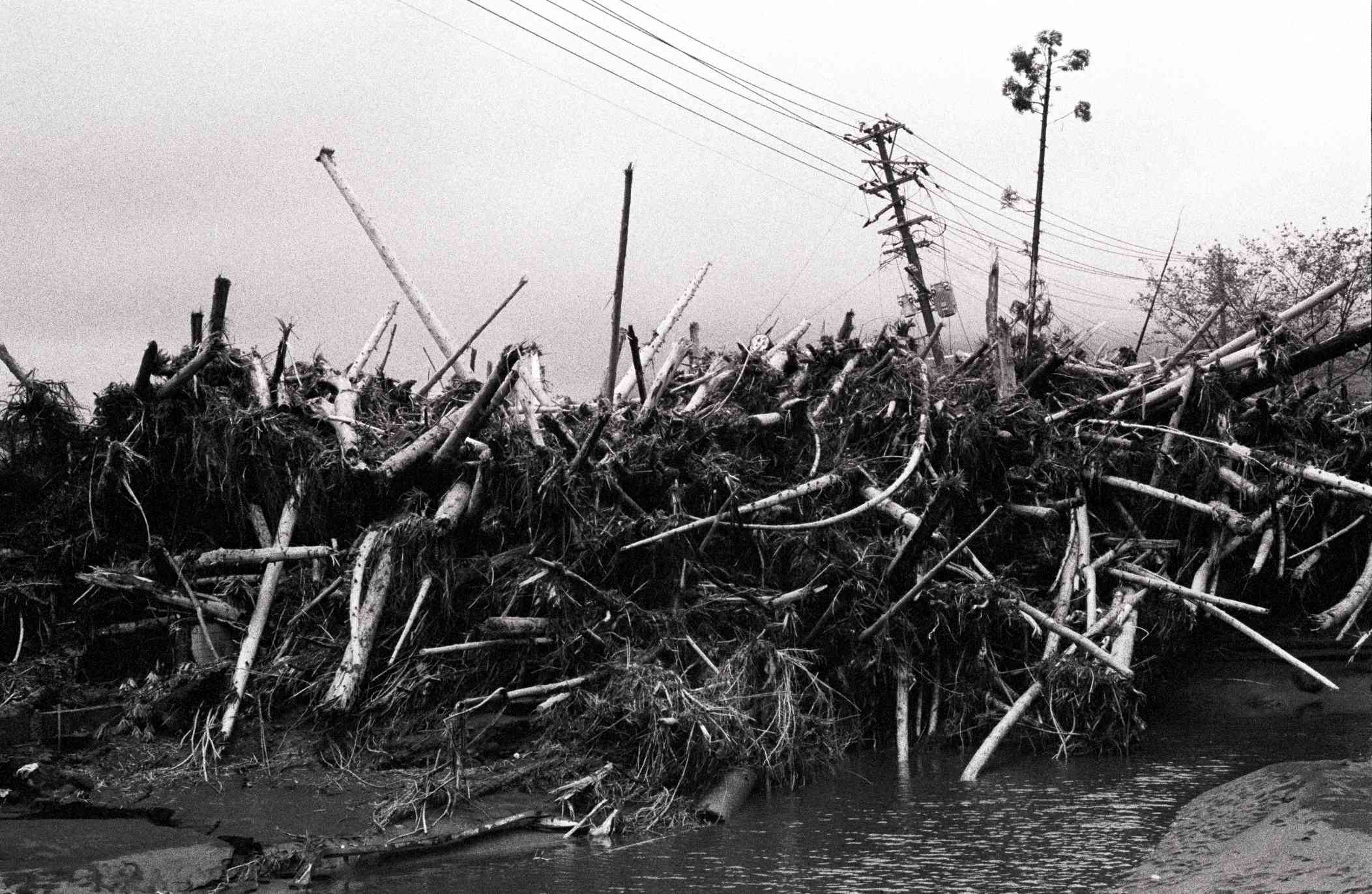 １９９０年、阿蘇地域を中心に１６人が犠牲になった「７．２水害」で、一の宮町坂梨に流れ込んだ大量の流木 