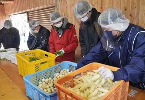 手際良く七草をパックに詰めていくアルバイトら＝小国町