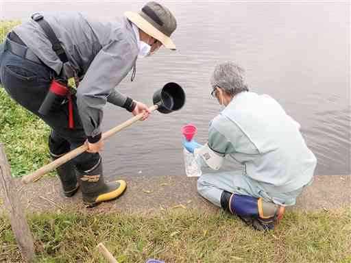 熊本市が江津湖で実施している「環境ＤＮＡ調査」でサンプルの水をくみ上げる担当者（同市提供）