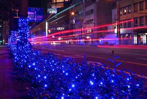 水道町交差点近くの国道３号沿いで青色に装飾された街路樹。車の光跡と光の競演が見られた＝２５日夜、熊本市中央区（後藤仁孝）