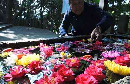 サザンカやスイセンなど色とりどりの花が浮かぶ住吉神社の花手水＝宇土市