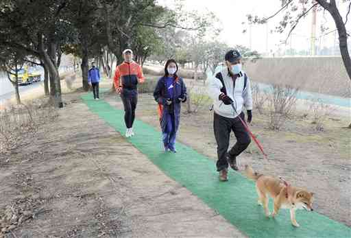 ミニトレッキングコースでジョギングや犬の散歩を楽しむ利用者ら＝八代市