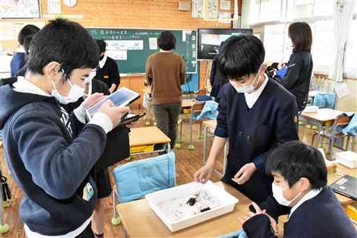 生ノリを触ったり、タブレット端末で写真を撮ったりする児童ら＝熊本市南区