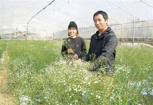 カスミソウなど多彩な花を栽培している杉本博道さん（右）と妻のさくらさん＝上天草市