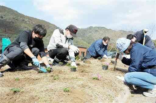 道の駅坂本の駐車場周辺にシバザクラを植える住民や行政職員ら＝八代市