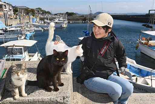 湯島の猫の健康管理に取り組む地域おこし協力隊の林愛子さん。林さんの周りには自然と猫が集まってくる＝１４日、上天草市