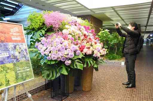 ＪＲ博多駅ビル内に飾られた熊本県産の花々＝１７日、福岡市のアミュプラザ博多