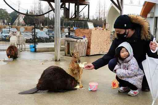 ふれあい動物王国では餌やり体験もできる＝南阿蘇村